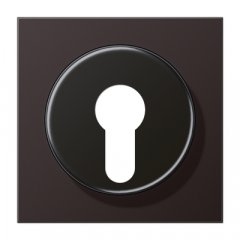 Virsma slēdzim ar atslēgu, Aluminium lackiert, Serie LS, tumša (lackiertes Aluminium)