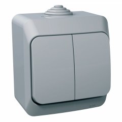 Cedar Plus - 1pole 2-circuits switch - 16AX, ar indikātoru pelēka