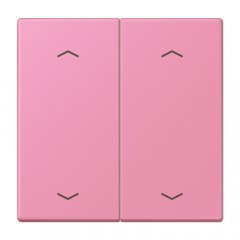 Taustiņs KNX slēdzim, ar virzienrādītāju 2-viet, Serie LS, rose vif