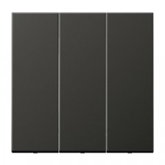 Taustiņs 3-viet, alumīnijs krāsots, Serie LS, antracīts (lakots alumīnijs)