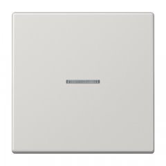 Taustiņs 1-viet, ar indikācijas logu, duroplasts, Serie LS, gaiši pelēks