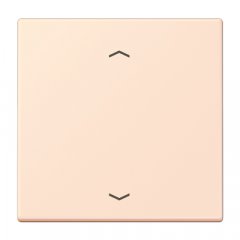 Taustiņs 1-viet, ar virzienrādītāju, Serie LS, orange pâle