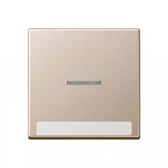 Taustiņs 1-viet, ar indikācijas logu, marķējams, termoplasts, Serie A, šampanieša krāsā