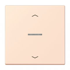 JUNG HOME taustiņš 1-viet, ar bultiņu simboliem<br />
, Serie LS, orange pâle