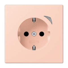 Kontaktligzda JUNG HOME SCHUKO, 16 A 250 V ~, skrūvju spailes, ar indikātoru un bērnu drošību, termoplasts krāsots