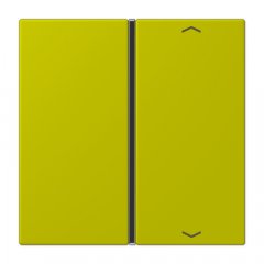 Taustiņs slēdzim 1-viet, ar virzienrādītāju, F40, Serie LS, vert olive vif