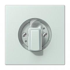 Virsma ar grozāmu slēdzi, Serie LS, céruléen pale