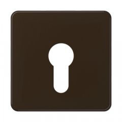 Virsma slēdzim ar atslēgu, termoplasts, Serie CD, brūns