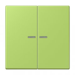 Taustiņs KNX slēdzim ar indikācijas logu 2-viet, Serie LS, vert clair