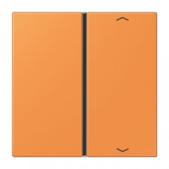 Taustiņs slēdzim 1-viet, ar virzienrādītāju, F40, Serie LS, orange clair