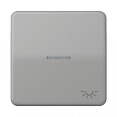 Taustiņs 1-viet, ar indikācijas logu, ar spuldzes simbolu, duroplasts, Serie CD, grau