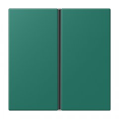 Taustiņs 1-viet, F40, Serie LS, vert anglais