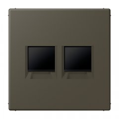 Virsma (ar fiksatoru) modulārai datu rozetei 2-vietīga, UMA-CAT6A, termoplasts lakots, Serie LS, ombre naturelle 31