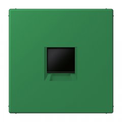 Virsma (ar fiksatoru) modulārai datu rozetei 1-vietīga, UMA-CAT6A, termoplasts lakots, Serie LS, vert foncé