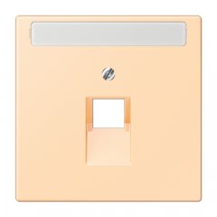 Virsma IAE/UAE-datu rozetei 1 x 8-polig, marķējams, termoplasts lakots, Serie LS, ocre