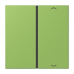 Taustiņs slēdzim 1-viet, ar virzienrādītāju, F40, Serie LS, vert 31