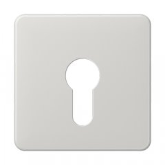 Virsma slēdzim ar atslēgu, termoplasts, Serie CD, gaiši pelēks