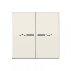 Taustiņs 2-viet ar indikācijas logu un virzienrādītāju, duroplasts, Serie AS, ziloņkaula