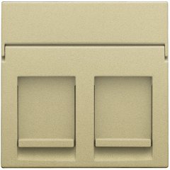 Central plate data 2x RJ, gold coated