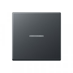 eNet taustiņš 1-viet, termoplasts krāsots, Serie A, anthrazit matt