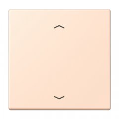 Taustiņs 1-viet, ar virzienrādītāju, Serie LS, rose pâle