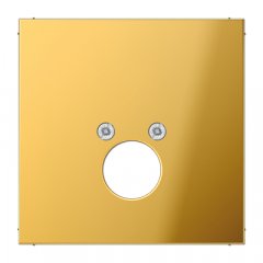 Virsma ar 1 vietām 18,5 mm Ø, Metall  PVD-beschichtet, Serie LS, zelta krāsā