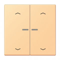 JUNG HOME taustiņš 2-viet, ar bultiņu simboliem<br />
, Serie LS, terre sienne claire 59