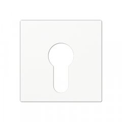 Virsma slēdzim ar atslēgu, termoplasts, Serie AS/A, balts