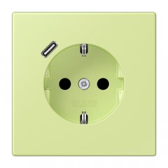 Kontaktligzda SCHUKO 16 A 250 V ~, USB pieslēgvieta 1 x Typ C, ar bērnu drošību, Serie LS, vert jaune clair