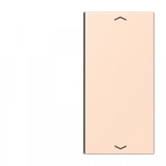 Taustiņs slēdzim 2-viet, ar virzienrādītāju, F40, Serie LS, rose pâle