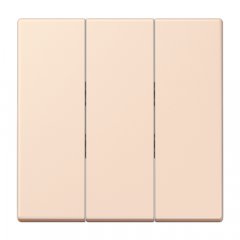 Taustiņs 3-viet, termoplasts lakots, Serie LS, orange pâle