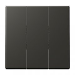 Taustiņs 3-viet, termoplasts lakots, Serie LS, ombre naturelle 59