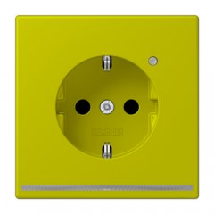 Kontaktligzda SCHUKO, 16 A 250 V ~, ar LED apgaismojumu, ar bērnu drošību, Serie LS, vert olive vif