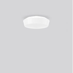 Gaismeklis DKN CLASSIC, white, on/off Ceiling and wall luminaires, D 300 H 115, Opal glass