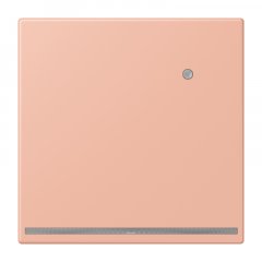 LED-dežūrgaisma ar integrētu spilgtuma sensoru, Thermoplast lackiert, Serie LS, rose clair