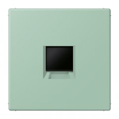 Virsma (ar fiksatoru) modulārai datu rozetei 1-vietīga, UMA-CAT6A, termoplasts lakots, Serie LS, vert anglais clair