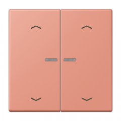 JUNG HOME taustiņš 2-viet, ar bultiņu simboliem<br />
, Serie LS, l'ocre rouge moyen