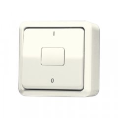 Slēdzis Wippschalter, Aus 2-pol., 10 AX 250 V ~, AP 600, ziloņkaula