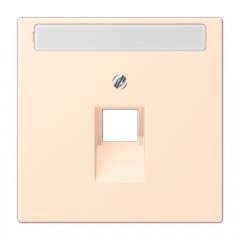 Virsma IAE/UAE-datu rozetei 1 x 8-polig, marķējams, termoplasts lakots, Serie LS, terre sienne pâle