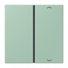 Taustiņs slēdzim 1-viet, ar virzienrādītāju, F40, Serie LS, vert anglais clair