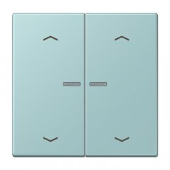 JUNG HOME taustiņš 2-viet, ar bultiņu simboliem<br />
, Serie LS, céruléen clair