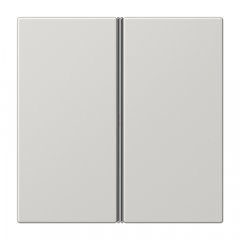 Taustiņs 2-viet, F40, Serie LS, gaiši pelēks