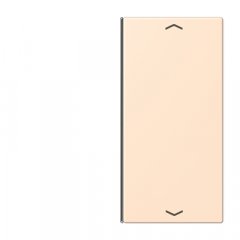 Taustiņs slēdzim 2-viet, ar virzienrādītāju, F40, Serie LS, terre sienne pâle