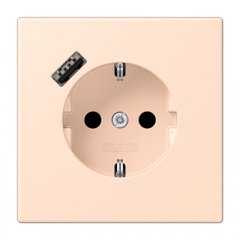 Kontaktligzda SCHUKO 16 A 250 V ~, USB pieslēgvieta 1 x Typ A, ar bērnu drošību, Serie LS, rose pâle