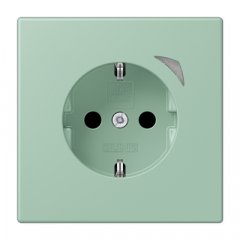 Kontaktligzda JUNG HOME SCHUKO, 16 A 250 V ~, Energy, skrūvju spailes, ar indikātoru un bērnu drošību, termoplasts