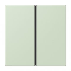 Taustiņs 1-viet, F40, Serie LS, vert anglâis pale