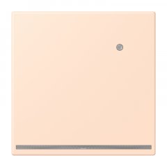 LED-dežūrgaisma ar integrētu spilgtuma sensoru, Thermoplast lackiert, Serie LS, rose pâle