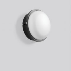 Gaismeklis ALU-SUPERIOR, anthracite, on/off Ceiling and wall luminaires, D 245 H 120, Plastic (PC) opal