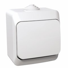 Cedar Plus - 1 polu slēdzis pārslēdzis - 16AX, balts