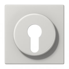 Virsma slēdzim ar atslēgu, termoplasts, Serie LS, gaiši pelēks